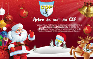 REPAS DE NOËL LE 13 DÉCEMBRE À LA SDF DE HAUTEVILLE